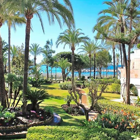 *new Gray D Albion: Puerto Banus